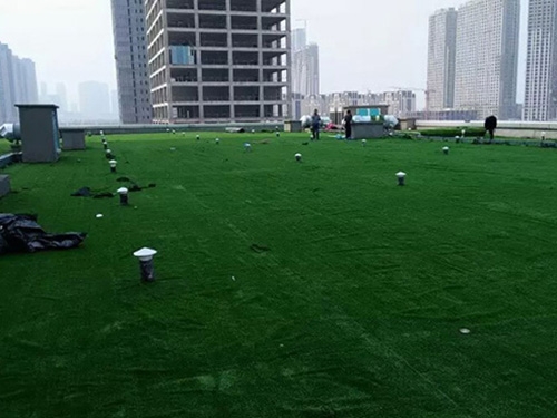大连国滨苑小区草坪工程