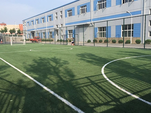 大连开发区金港产业园足球场